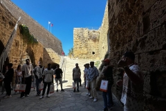 WhatsApp-Gorsel-2025-03-13-saat-10.00.40_44b21fbd