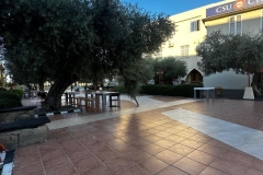 WhatsApp-Gorsel-2025-03-13-saat-10.00.40_907cb24d