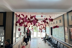 WhatsApp-Image-2025-03-17-at-10.48.36-1